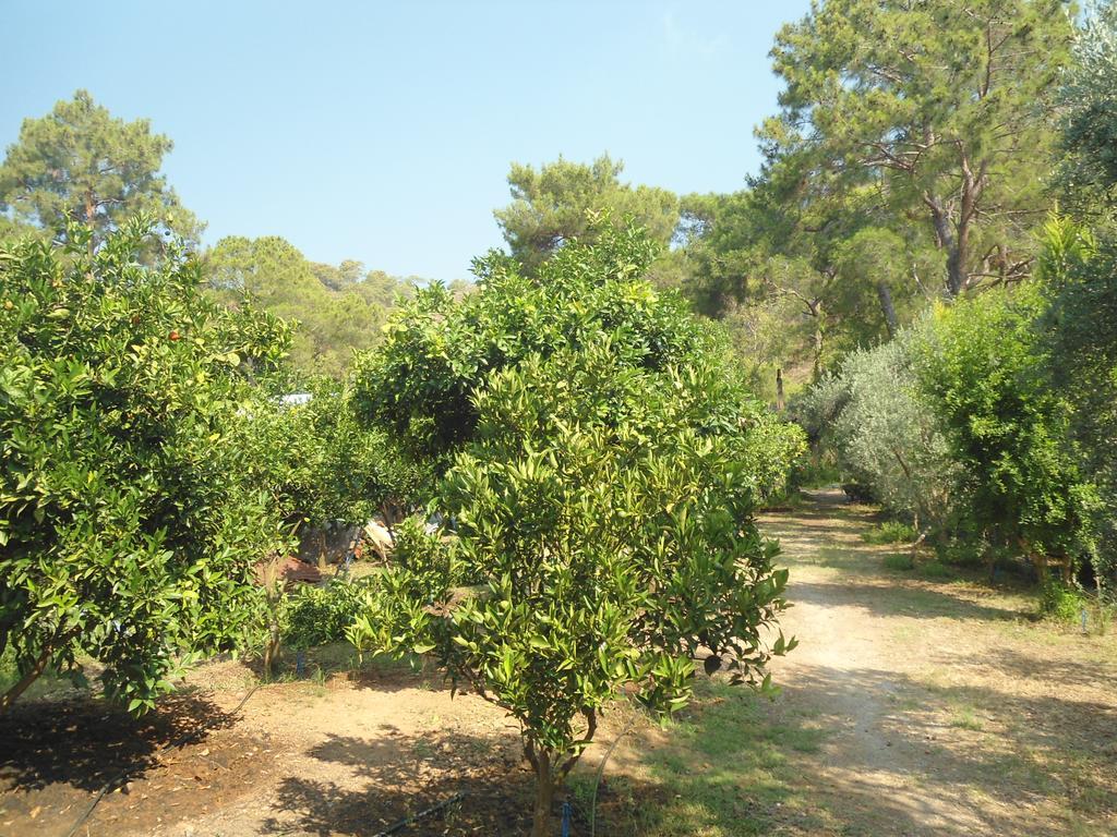 Bungalow Halil Çıralı Extérieur photo