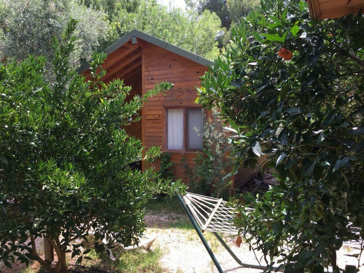 Bungalow Halil Çıralı Extérieur photo