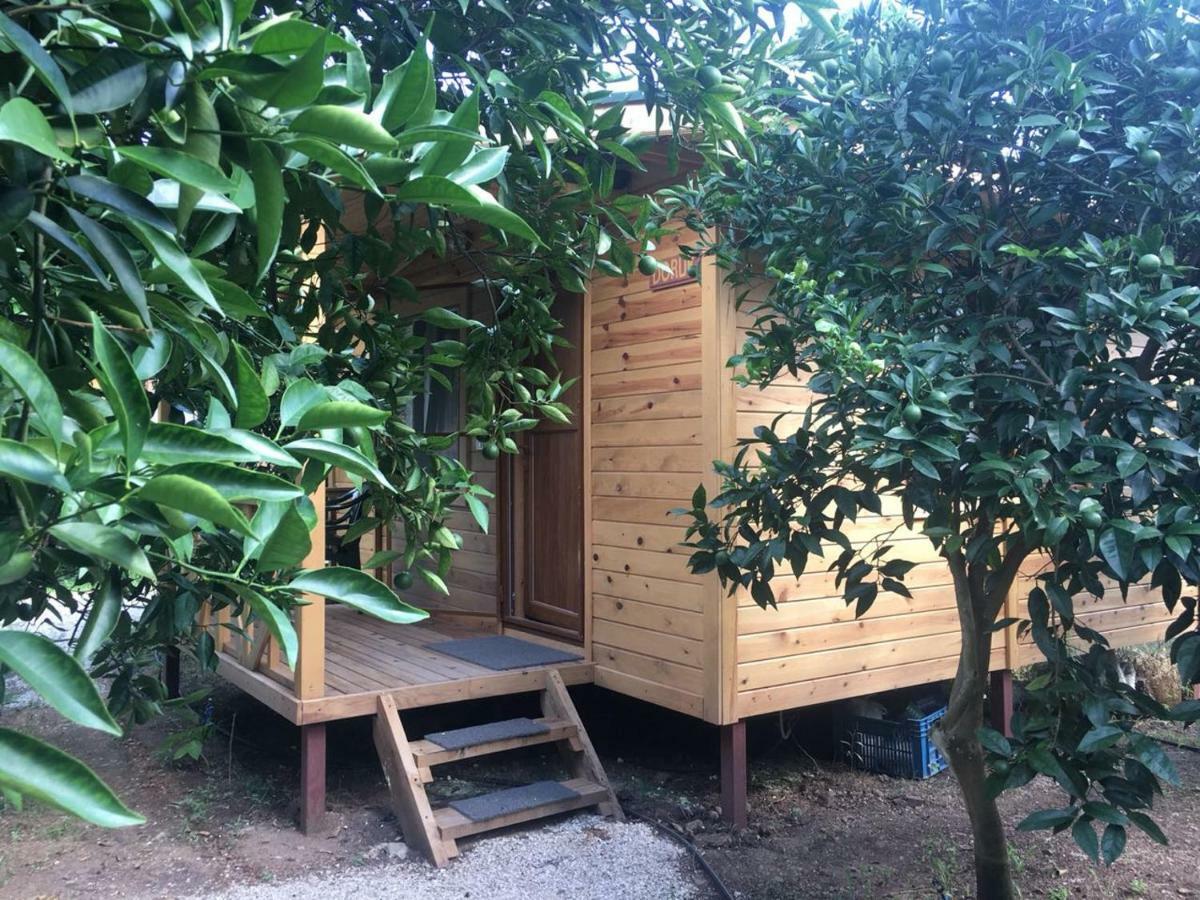 Bungalow Halil Çıralı Extérieur photo